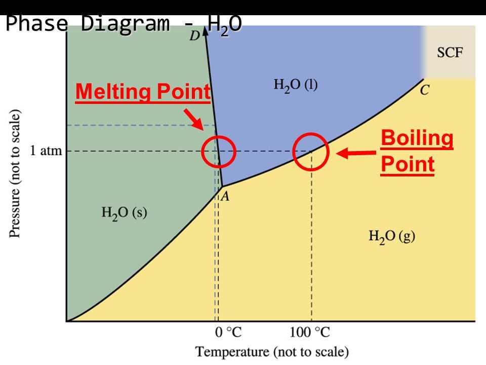 Phase Diagram Of Sulfur Sulfur Phase Diagram Points Why Ther